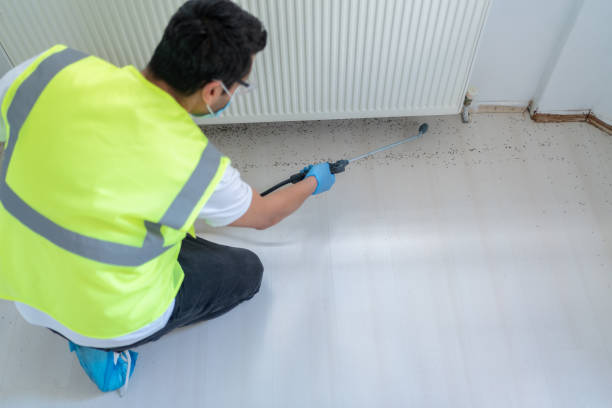 Pest Control for Warehouses in Beaver Dam, AZ